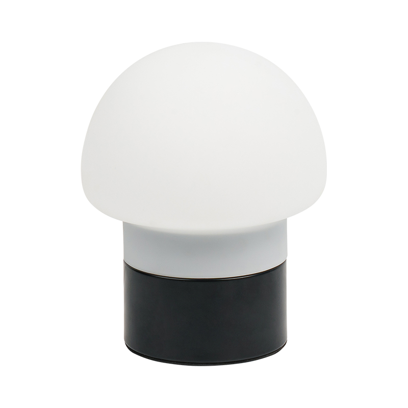 Lampa boird muisiriún faoi stiúir