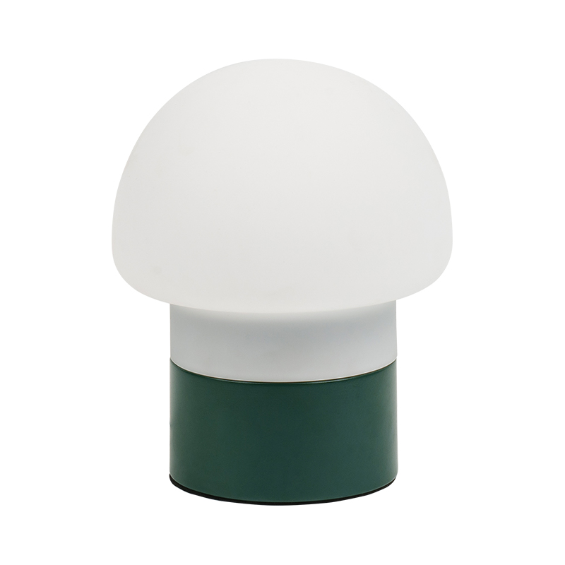 Lampa boird muisiriún faoi stiúir