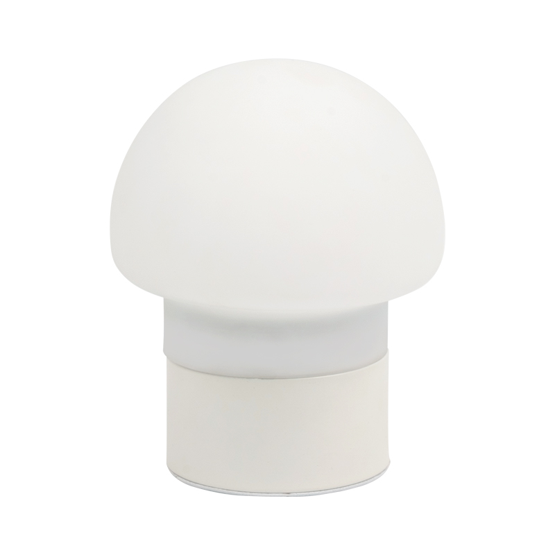 Lampa boird muisiriún faoi stiúir
